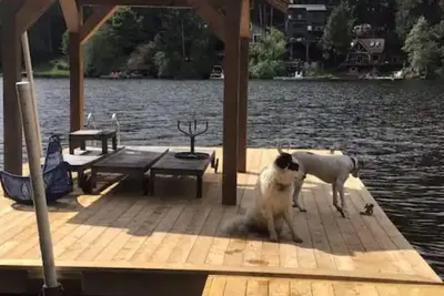 Image de Unique Hand built log cottage on the lake with views and hot tub.