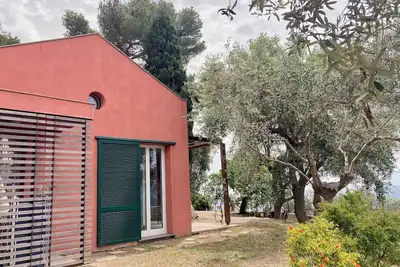Image de the silence among the olive trees, on a hill overlooking the sea