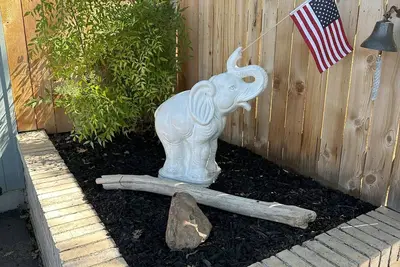 Image de 3 king beds Pet Friendly Large yard 2 bedroom have attached bathrooms