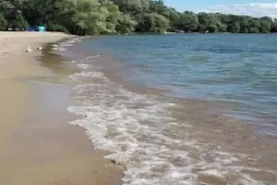 Image de Sandy Beach Cottage steps to Lake Simcoe - 1 hr 20 mins from Toronto