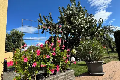 Image de High-quality vacation home near Potsdam, within walking distance of the water. Pet friendly!