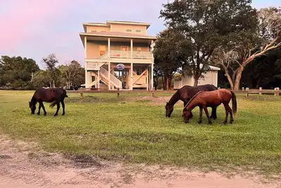 Image de Wild Horses, Wilder Views: Stunning Carova Canal Front Home