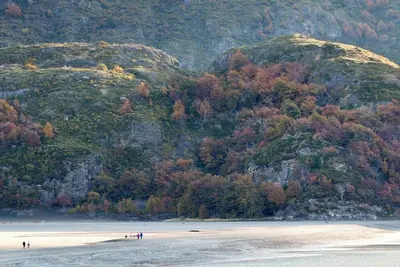 Image de \nPatagonia Lodge: A Symphony of Nature and Luxury