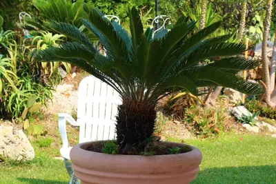 Image de Appartamento Panoramico in Casa Rurale