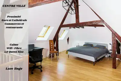 Image de Manceau - Magnifique duplex - Centre ville - Vue Cathédrale