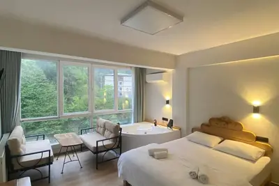 Image de Pine Suit with river view