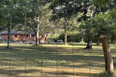 Image de Location atypique dans un airial landais