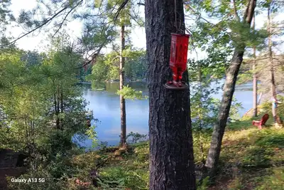 Image de Comfy 8-person cottage. Stoney Lake. Kawarthas. Pet friendly. 90 mins Toronto