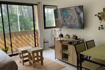 Image de Biscarrosse plage\nAppartement sympa vue forêt 10 min de la mer à pied