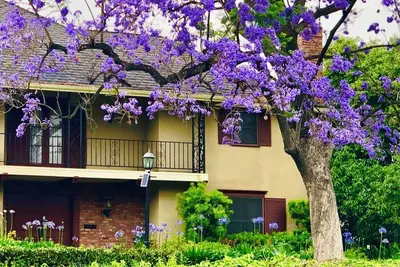 Image de The“moving castle”, a French-style gem nestled in Pasadena