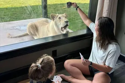 Image de Big Cat Bungalows at The Haven - Lion 2