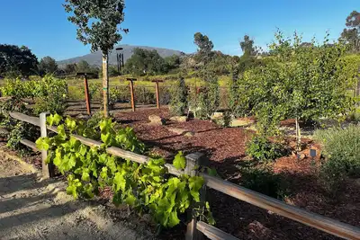 Image de Oak Haven Garden Oasis