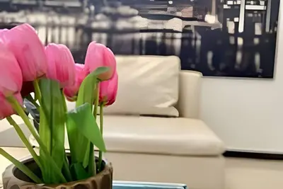 Image de Encantador Apartamento Diseñado Para ti!