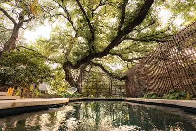 Image de Preservation Austin Home, restored to Midcentury Glory\n