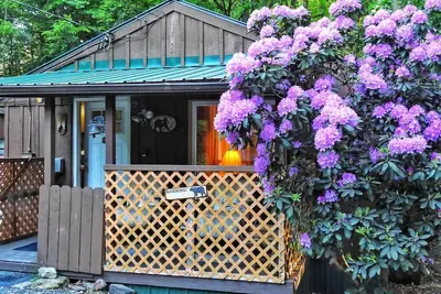 Image de Cabin close to Ricketts Glen and State Parks!