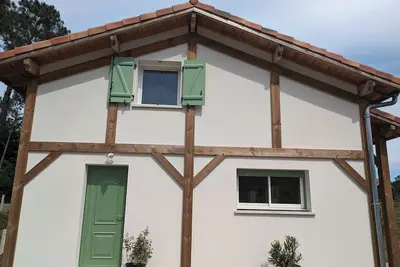 Image de Maison neuve entre pins et océan  dans un cadre privilégié et verdoyant