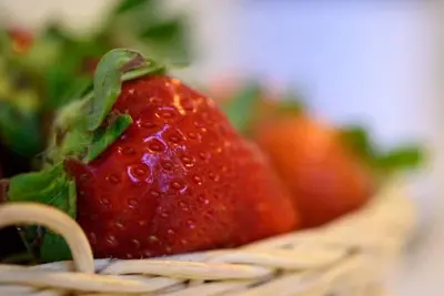 Image de Housestation 2 appartaments