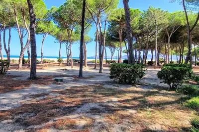 Image de Appartement T2 rénové - 4 pers - 50m de la plage - Accès jardin - Idéal familles\/amigos