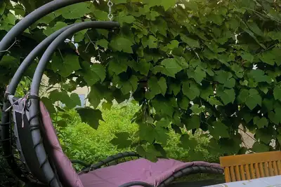 Image de Wohnung Zwischen Lago Maggiore und Lago Mergozzo mit Garten