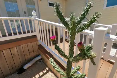 Image de Ranch With Cactuses  Weekly/Monthly Up To 50% Off