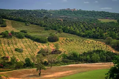 Image de Between the sea of Argentario, the thermal baths of Saturnia and the park of Maremma