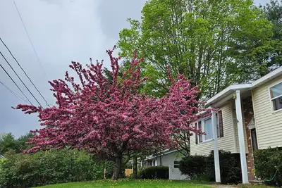 Image de Year'Round Family Fun!