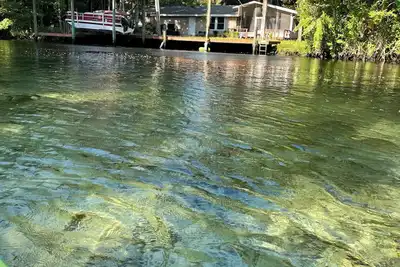 Image de Paradise get-a-way on the Homosassa River, near the head springs! New Listing!