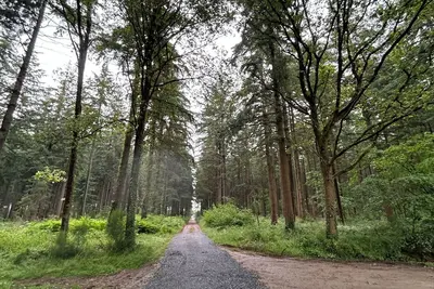 Gîte dans la forêt de Longuenée à 17 kms d’Angers au calme