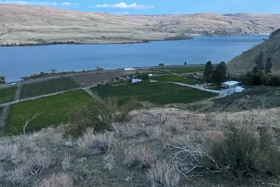 Image de Vineyard Bunkhouse studio near Chelan