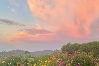 Image de Farmhouse Retreat with Breathtaking Views of Mt. St. Helena – Perfect for Groups