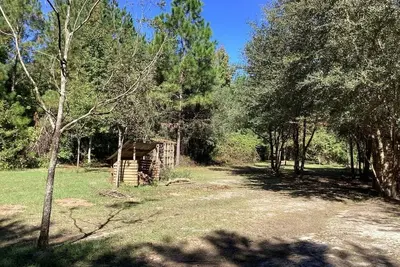 Image de The Orchard disperse primitive site