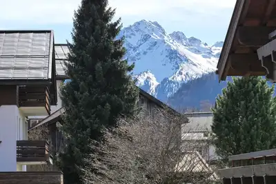 Image de Alpenflair apartments Whg 312 \"Bergfrühling\"