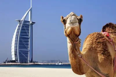 Image de Luxury 5 Br Villa + Maid Room w/ Private Beach Palm Jumeirah