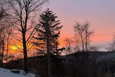 Image de Bright and Spacious 3-bedroom house with large patio and sprawling yard.