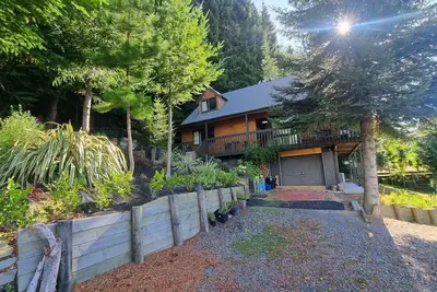 Image de Nest in the forest