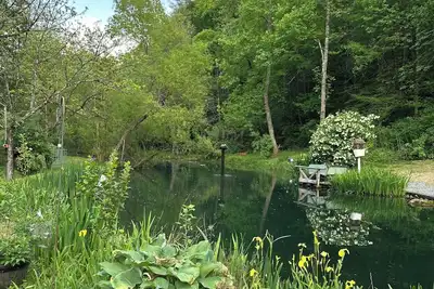 Image de Family Cabin in Smokies Updated 2025 Peaceful View Comfort, Fire Pit, Pond, Cozy