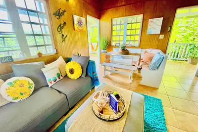 Image de Vacation Home\nIN The Rainforest, Close To The River & Beaches With Amazing Views