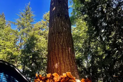Image de Springtime in the Valley! Modern Charm and the Best Hiking and Biking in the Pnw