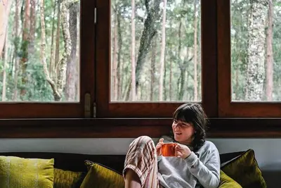 Image de Treetops - Your Rainforest Retreat\n\nSurround yourself with nature.