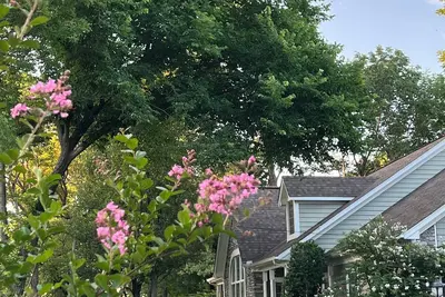 Image de Lovely home in country setting nestled on a hill overlooking creek and greenbelt