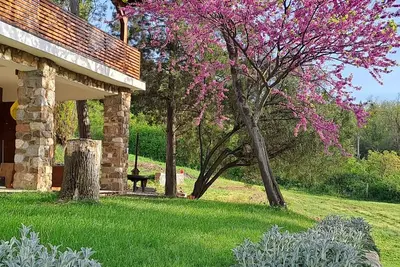 Image de Felicita\nVila in nature suitable for accommodation during the Exit festival!