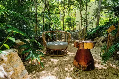 Image de Penthouse with private jungle, pool, jungle gym, downtown close to beach