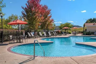 Image de 3br Deluxe Outdoor Fun Near Amusement Park!