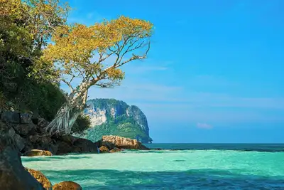 Image de Near Southcenter Mall And The Airport