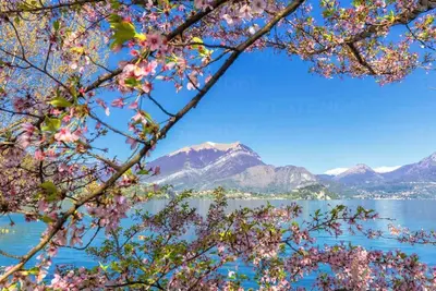 Image de The charm of Lake Como from your personal infiity pool