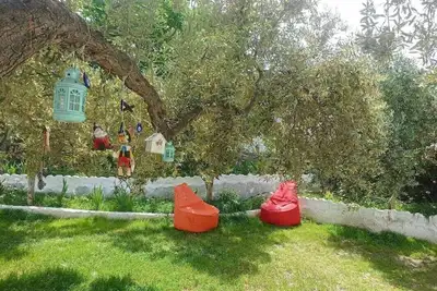 Lotus House