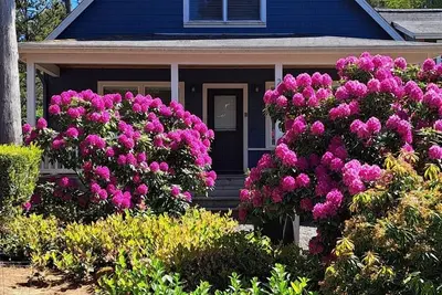 Spacious 3-Br Bella Beach, Hot Tub, Master w/King