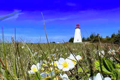 Image de Charming 2-bedroom with Ocean View Cottage, situated near Thunder Cove Beach! !