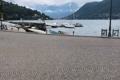 Image de Hydrangea House Blue-apt Purple