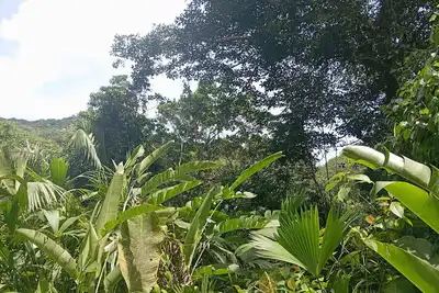 Image de Cabaña Nuisuni